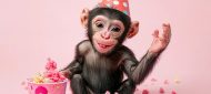 40. Geburtstag – lustige Geschenke und Karte