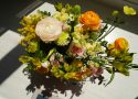 Saisonale Sommerblumen
