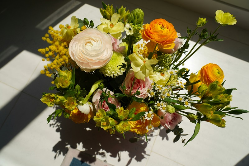 Saisonale Sommerblumen