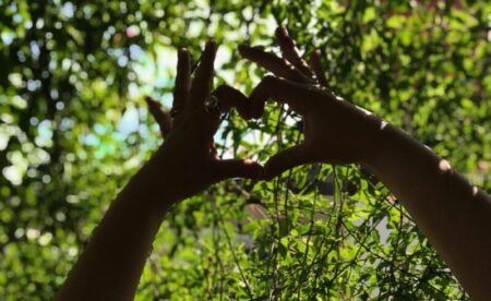 Liebe-Wochenhoroskop 1. bis 7. Juni 2026